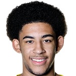 Тайлер Оньянго